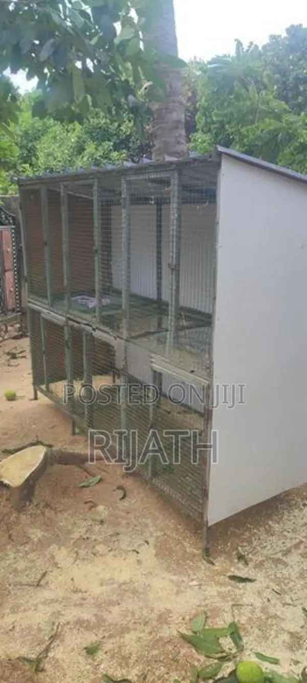 Pigeon Cage