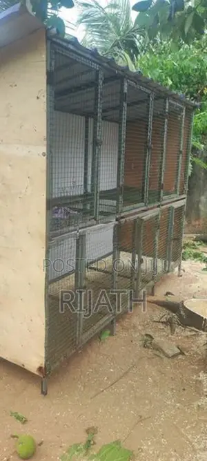 Pigeon Cage