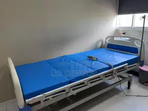 Softa Care Electric ICU Hospital Bed – 3 Part