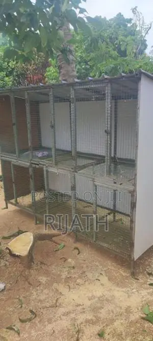 Pigeon Cage