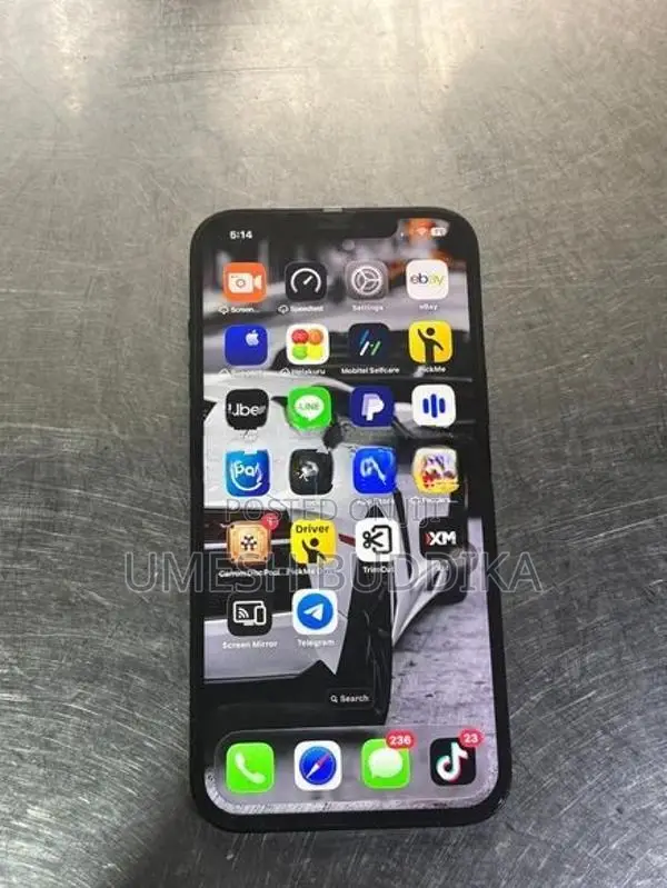 Apple iPhone 12 Pro Max (Used)
