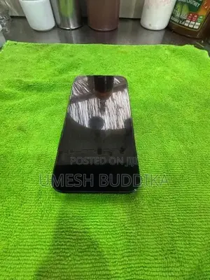 Apple iPhone 12 Pro Max (Used)