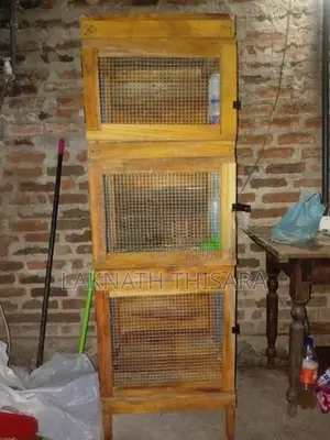 Pigeon Cage