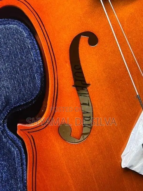 Super lark violin brand new (4/4)