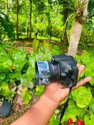 Canon 4000D 50MM Lens Full Set