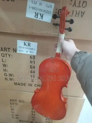 Super lark violin brand new (4/4)