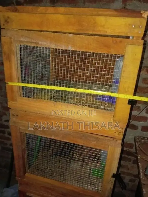 Pigeon Cage