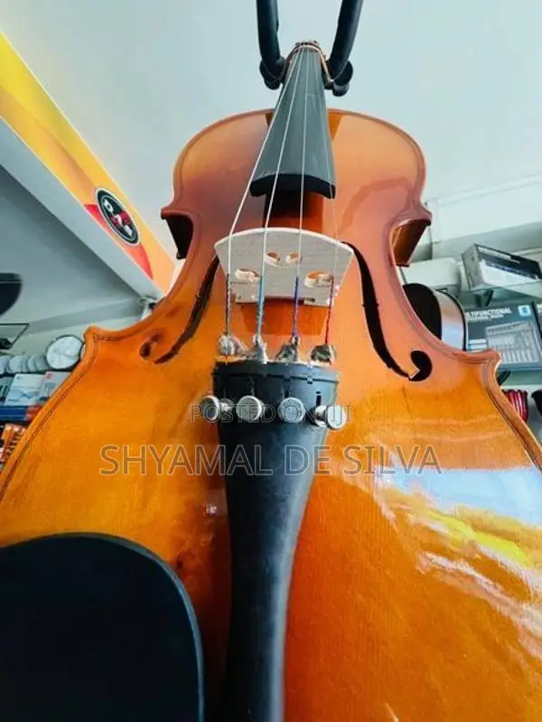 Super lark violin brand new (4/4)