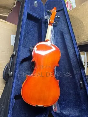 Super lark violin brand new (4/4)