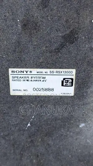 Sony Setup Speaker