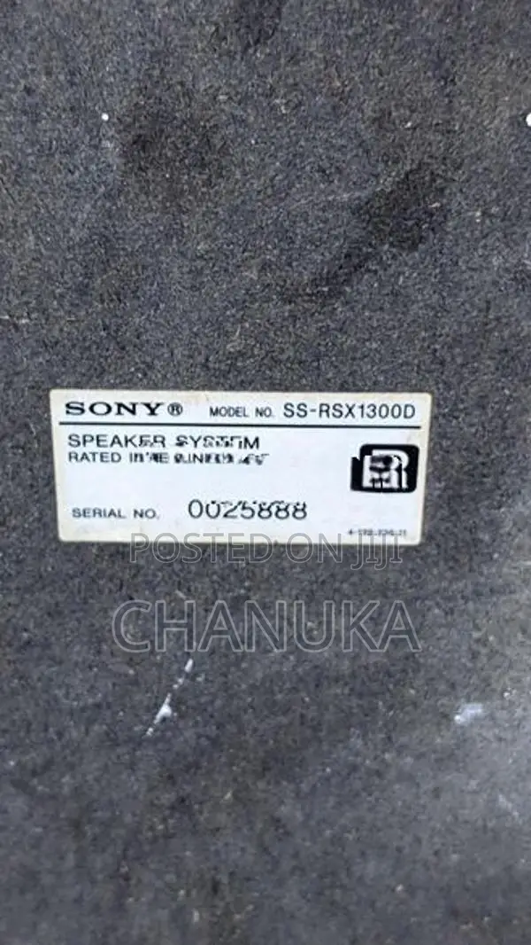 Sony Setup Speaker