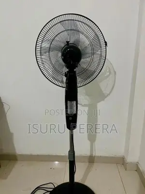 Pedestal Fan