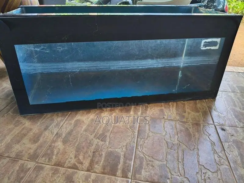 Fish Tank