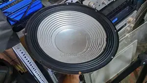 10 Inch 12 Speaker