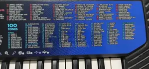 Casio Ctk - 411 Keyboard