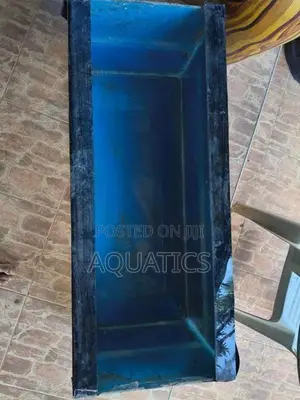 Fish Tank