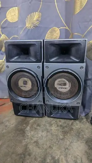 Sony Setup Speaker