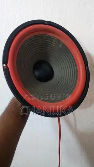 10 Inch 12 Speaker