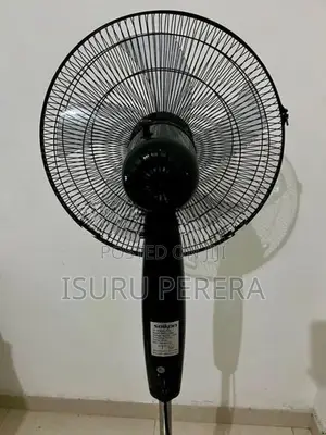 Pedestal Fan
