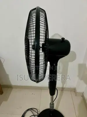 Pedestal Fan