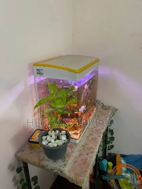 Fish Tank