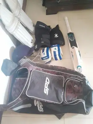 Hard ball Cricket set