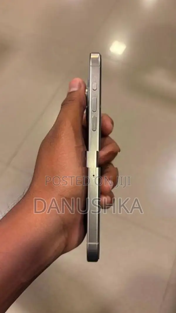 Apple iPhone 15 Pro Max 256GB (Used)