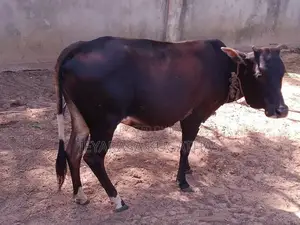 Ur Kalappu Madu