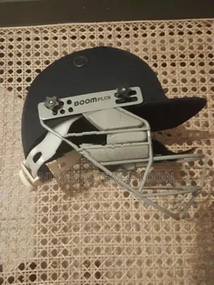 Hard ball Cricket set