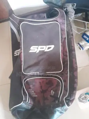 Hard ball Cricket set