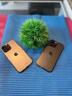 Apple iPhone 14 Pro Max 256GB (Used)