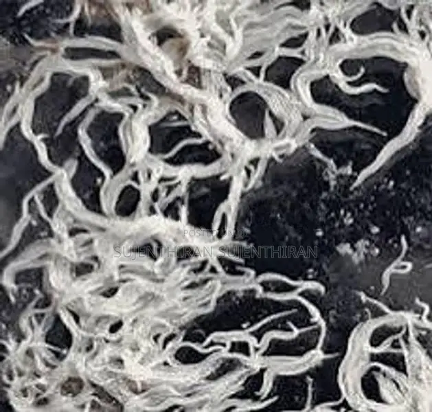Grindel Worms