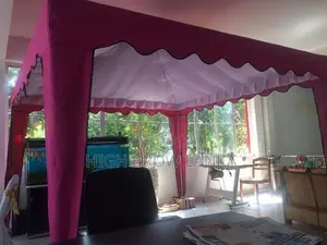 10 x Canopy Tent