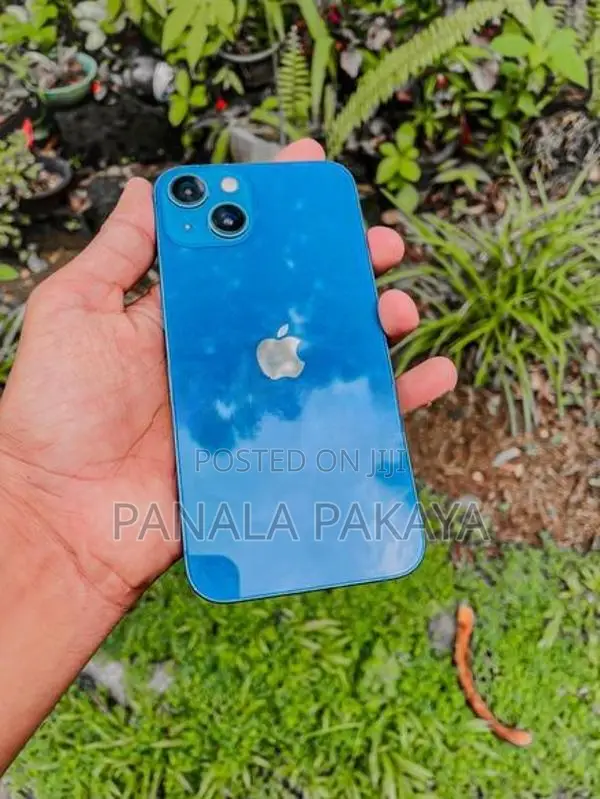 Apple iPhone 13 (Used)