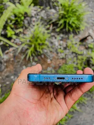 Apple iPhone 13 (Used)