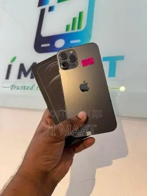 Apple iPhone 12 Pro Max (Used)