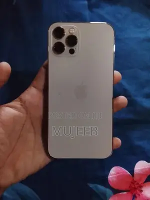 Apple iPhone 12 Pro (Used)