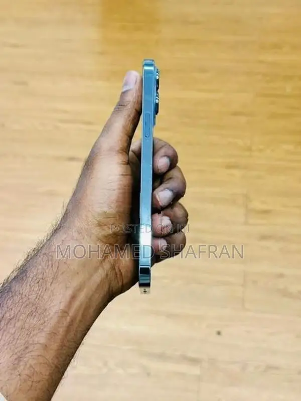 Apple iPhone 13 Pro Max (Used)