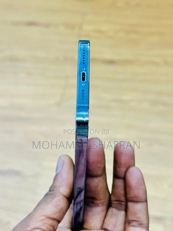 Apple iPhone 13 Pro Max (Used)