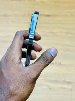 Apple iPhone 13 Pro Max (Used)