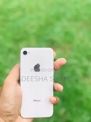 Apple iPhone 8 (Used)