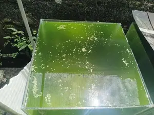 Glass Fish Tanks