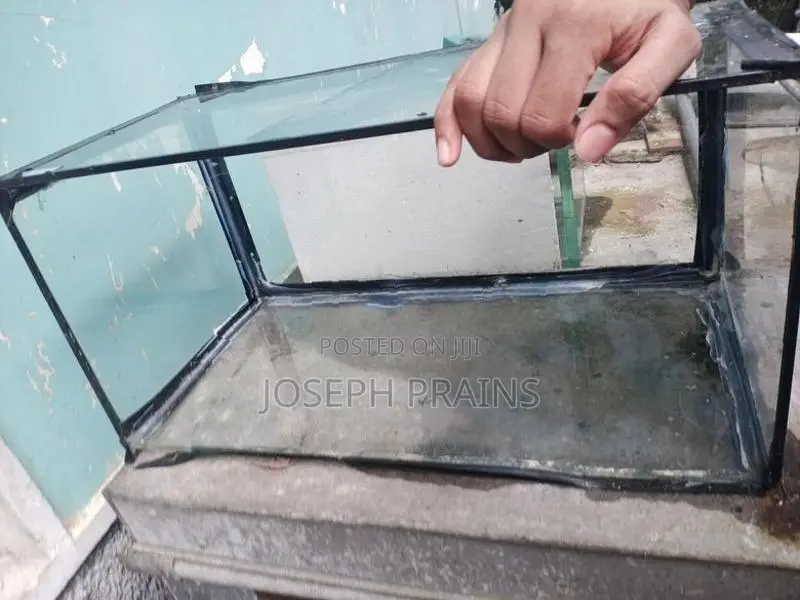Glass Fish Tanks