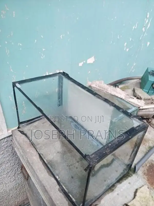 Glass Fish Tanks