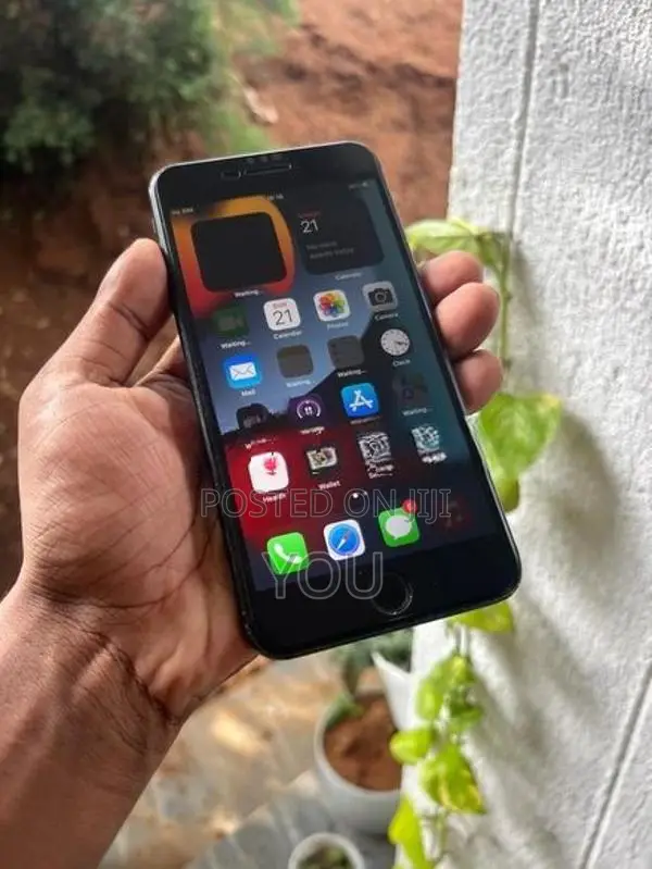 Apple iPhone 7 Plus 256GB (Used)