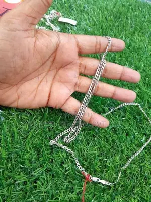 Silver Chain