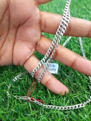 Silver Chain