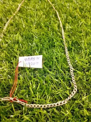 Silver Chain