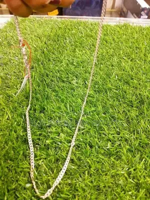 Silver Chain