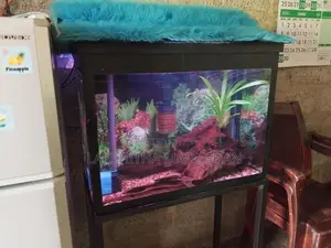 Fish Tank